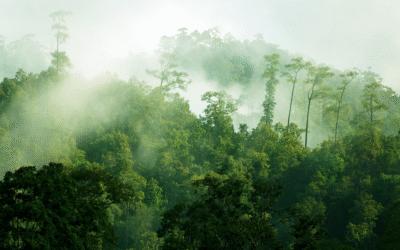 All the Lorem Ipsum generators on the Internet tend to repeat predefined chunks as necessary, making this the first true generator on the Internet.