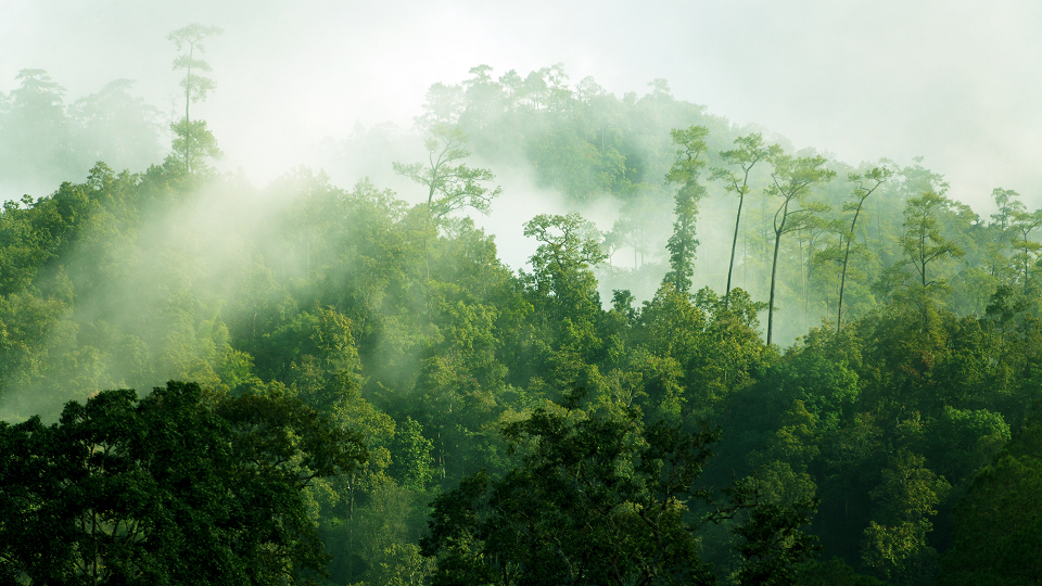 All the Lorem Ipsum generators on the Internet tend to repeat predefined chunks as necessary, making this the first true generator on the Internet.