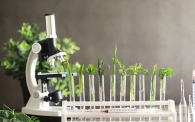 Making it over 2000 years old. Richard McClintock,