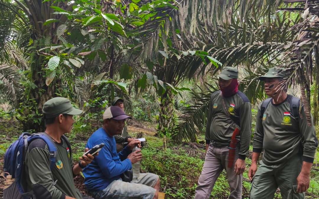 Patroli Hutan Kolaboratif di Bengkulu Selatan Inventarisasi Lahan Sawit dalam Kawasan Hutan