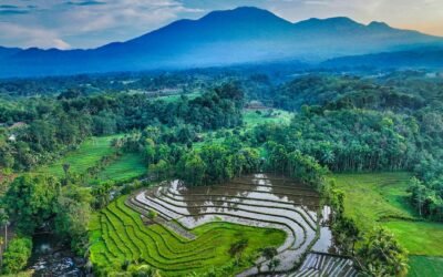 Where does it come from?