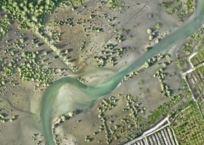 Potret udara kawasan mangrove di Teluk Sepang