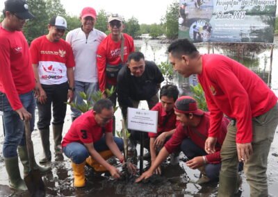 Kolaborari multipihak untuk rehabilitasi mangrove